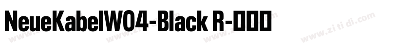 NeueKabelW04-Black R字体转换
